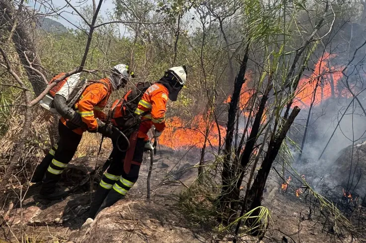 GDF autoriza seleção para contratar 150 brigadistas florestais